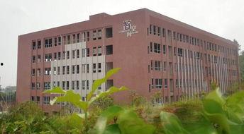 浏阳新弘学校爆料视频最新,揭秘校园内幕