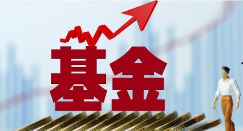 和平基金最新爆料消息,重磅爆料揭示国际和平发展新动向